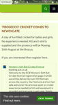 Mobile Screenshot of newdigatecricketclub.co.uk